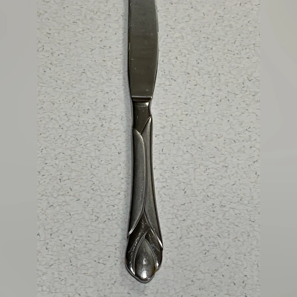 9 Hampton Silversmiths ROSE BUTTER KNIVES Stainless Glossy Discontinued Pattern